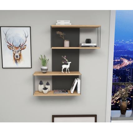Étagère murale DESTAN 65x96x19 cm anthracite/marron