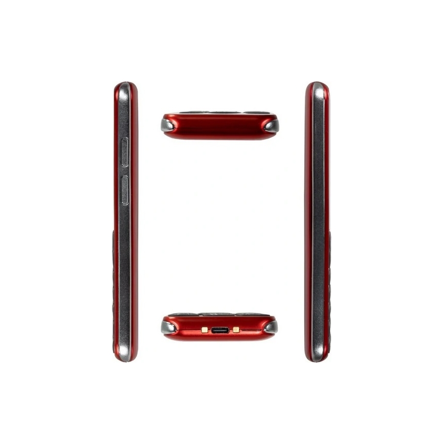 Evolveo - EasyPhone LT 4G téléphone portable pour seniors rouge