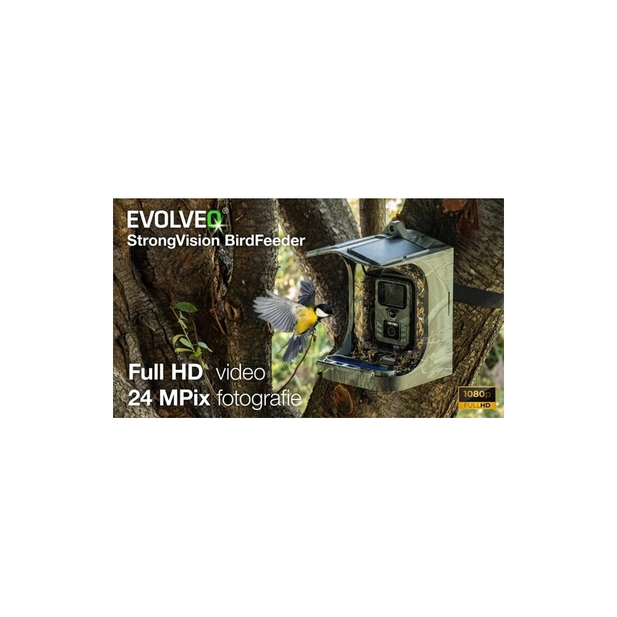Evolveo - StrongVision BirdFeeder - mangeoire connectée pour oiseaux avec caméra intégrée