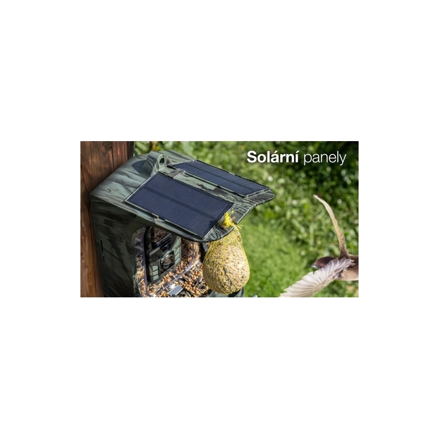 Evolveo - StrongVision BirdFeeder - mangeoire connectée pour oiseaux avec caméra intégrée