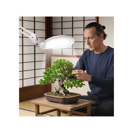 Extol - Lampe de bureau LED dimmable avec loupe LED/10W/230V blanche
