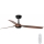 FARO 33817 - Ventilateur de plafond PUNT marron/noir + télécommande