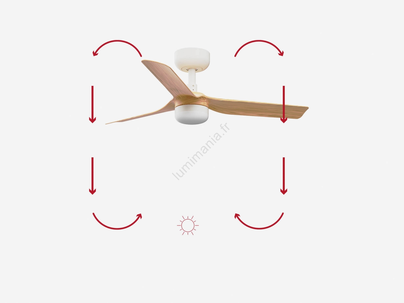 Ventilateur De Plafond DC Mini Punt FARO - Noir, 6 Vitesses - Petit Modèle Économique Et Silencieux