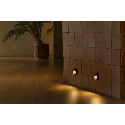 FARO 71962 - Luminaire d'escalier DUNE LED/3W/230V 2200/2700/3200/4000K IP65 rond marron