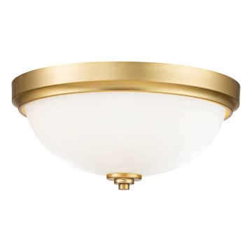 Feiss - Plafonnier de salle de bain MALIBU 2xE27/60W/230V IP44