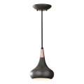 Feiss - Suspension sur câble BESO 1xE27/60W/230V Ø 17,9 cm noir/cuivre