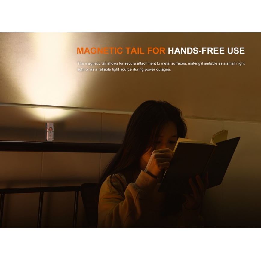 Fenix E06RGRY - Lampe torche UV à intensité variable rechargeable LED/USB IP66 700 brillant 60 h gris