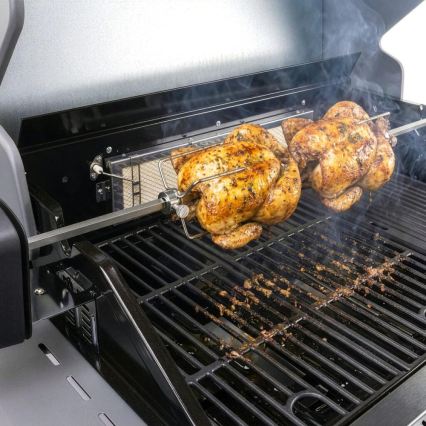 Fieldmann - Broche de rôtisserie motorisée 230V en acier inoxydable