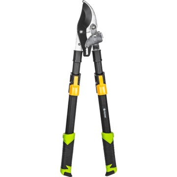 Fieldmann - Coupe-branches télescopiques à levier