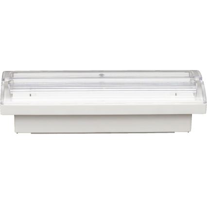 Fulgur s-43043 - Luminaire d'urgence FIWA LED/230V 1500 mAh IP65