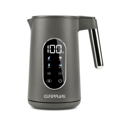 G3Ferrari G1020500 - Bouilloire électrique 1,7 l TISANIERE 2200W/230V grise