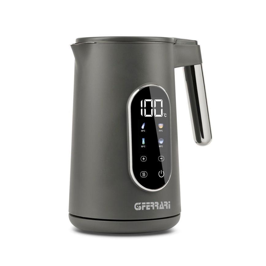 G3Ferrari G1020500 - Bouilloire électrique 1,7 l TISANIERE 2200W/230V grise