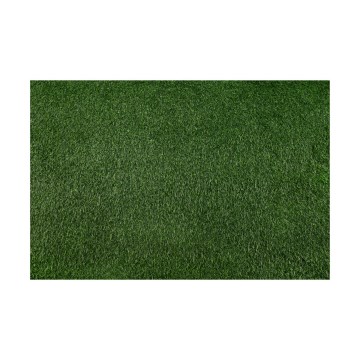 Gazon synthétique BELLIN 100 x 200 cm, hauteur de brin 18 mm, vert