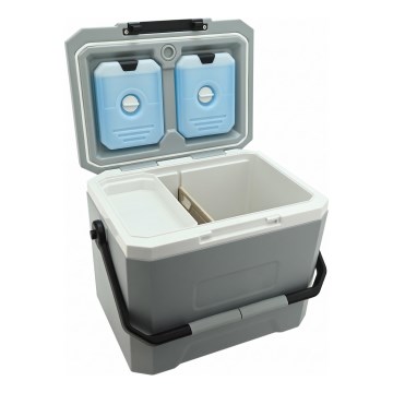 Glacière 16 l avec pack réfrigérant, gris
