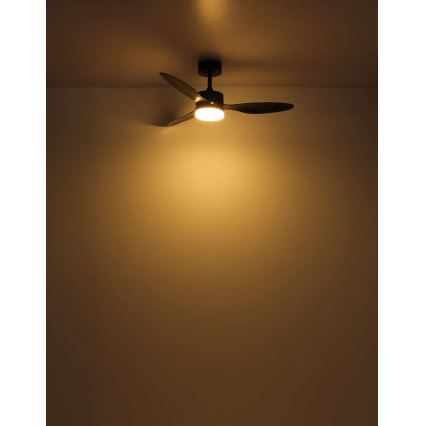 Globo - Ventilateur de plafond à intensité variable LED/20W/230V 2700-6500K + télécommande
