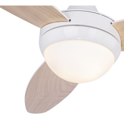 Globo - Ventilateur de plafond 2xE14/40W/230V + télécommande