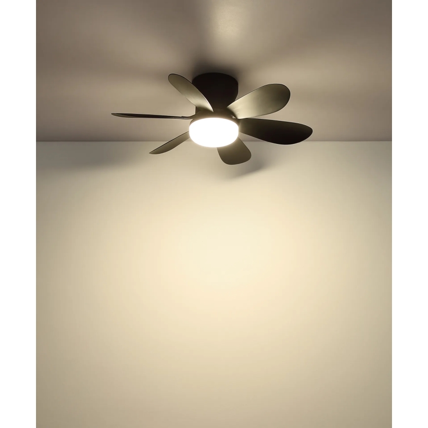 Globo - Ventilateur de plafond LED dimmable LED/5W/230V 2700-6500K noir + télécommande