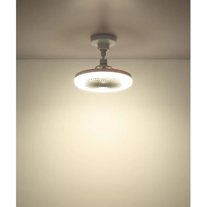 Globo - Ventilateur de plafond LED dimmable LED/20W/230V 3000-6500K blanc + télécommande