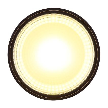 Globo - Plafonnier LED/12W/230V 3000K