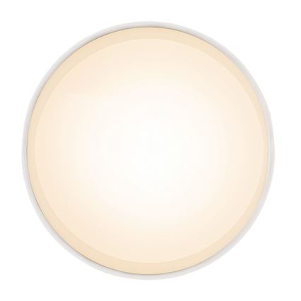 Globo 12015W - Plafonnier LED JENNY LED/8W/230V