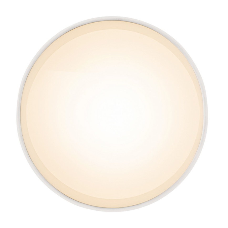 Globo 12015W - Plafonnier LED JENNY LED/8W/230V