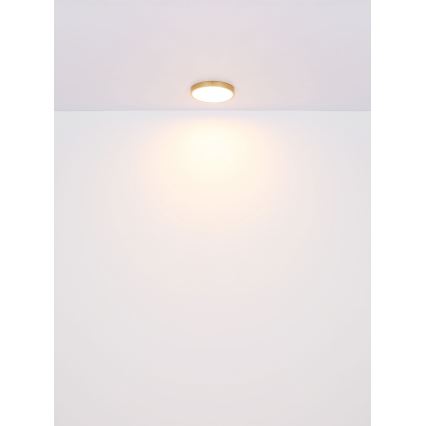 Globo - Plafonnier LED LED/15W/230V d. 25 cm