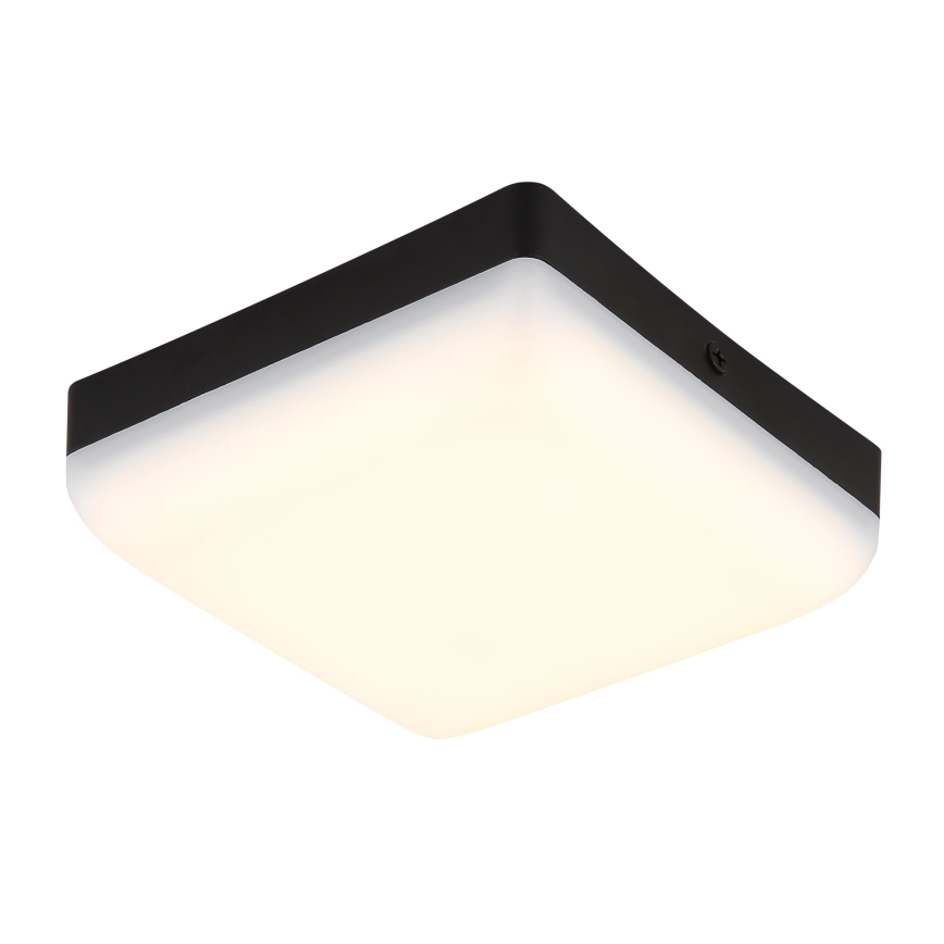 Globo - Plafonnier LED/8W/230V 4000K 12x12 cm noir