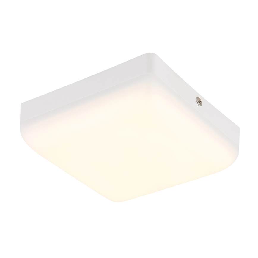 Globo - Plafonnier LED/8W/230V 4000K 12x12 cm blanc