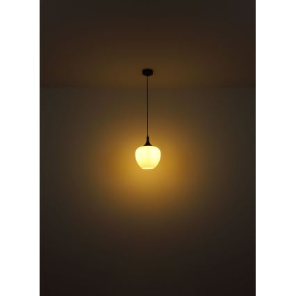 Globo - Suspension filaire 1xE27/60W/230V d. 29 cm blanc/marron