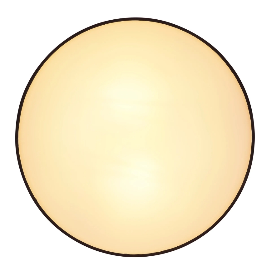 Globo 15582D - Plafonnier INGEBORG 2xE27/15W/230V