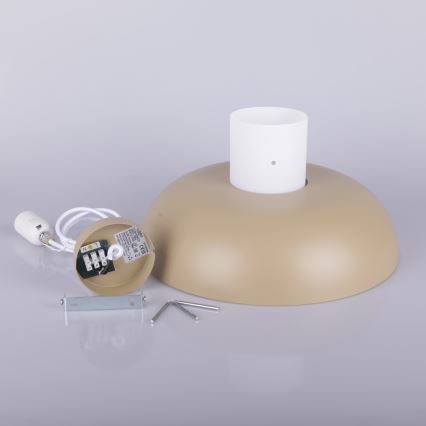 Globo - Suspension sur câble 1xE27/60W/230V