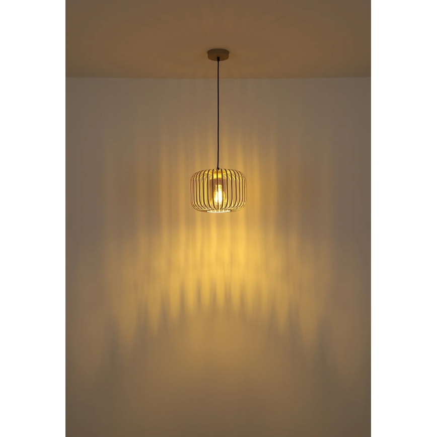 Globo - Suspension sur câble, 1x E27/40W/230V, Ø 28 cm