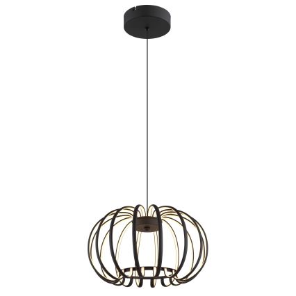 Globo - Lustre LED dimmable sur câble LED/40W/230V 3000K noir