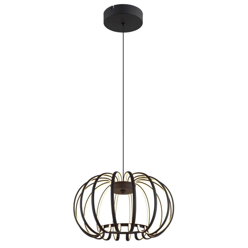 Globo - Lustre LED dimmable sur câble LED/40W/230V 3000K noir