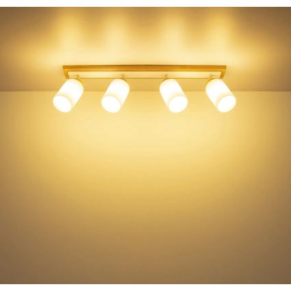 Globo - Luminaire à spots 4xE27/60W/230V beige/blanc