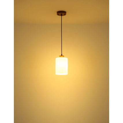 Globo - Lustre sur câble 1xE27/60W/230V chêne/blanc