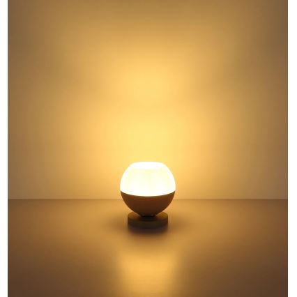 Globo - Lampe de table 1xE27/60W/230V