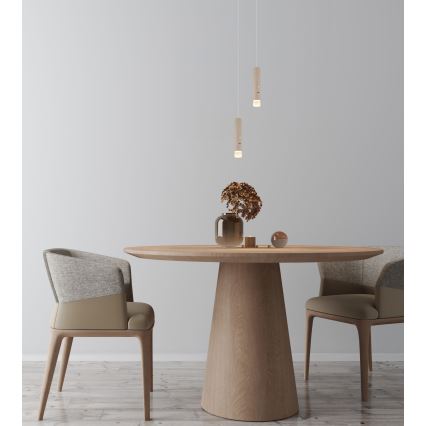 Globo - Lampe LED dimmable tactile rechargeable 2 en 1 LED/2W/230/5V