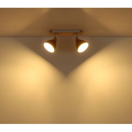 Globo - Spot 2xE14/40W/230V