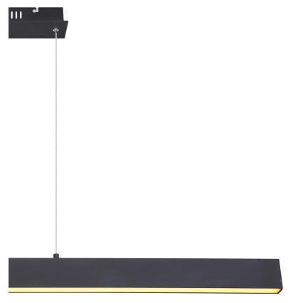 Globo - Suspension LED dimmable sur câble LED/40W/230V 3000K