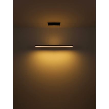 Globo - Lustre LED dimmable à commande tactile sur câble LED/24W/230V + LED/3W 3000K marron