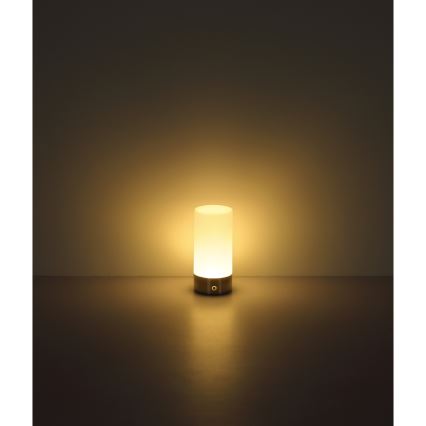 Globo - Lampe de table d'extérieur RGBW à intensité variable LED/1,8W/5V 1500 mAh IP44 chromé mat