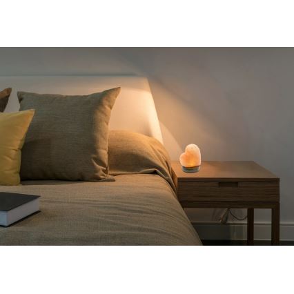 Globo - Lampe de sel LED/5W/230V 0,4 kg