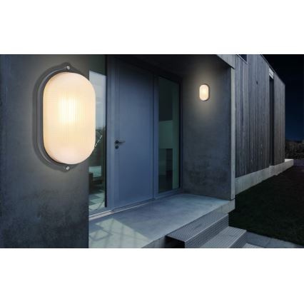 Globo - Applique murale extérieure 1xE27/60W/230V IP44