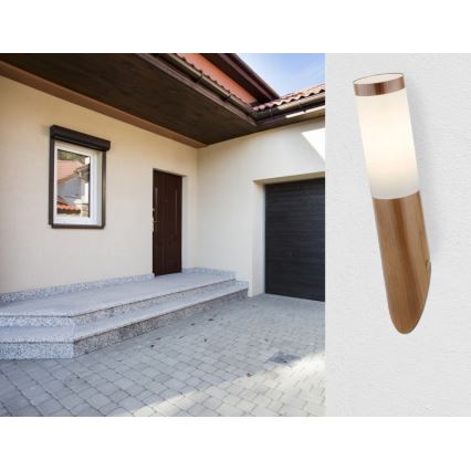 Globo - Applique murale d'extérieur 1xE27/60W/230V IP44