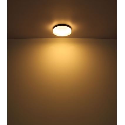 Globo - Luminaire salle de bain 1xE27/60W/230V d. 18,4 cm IP44