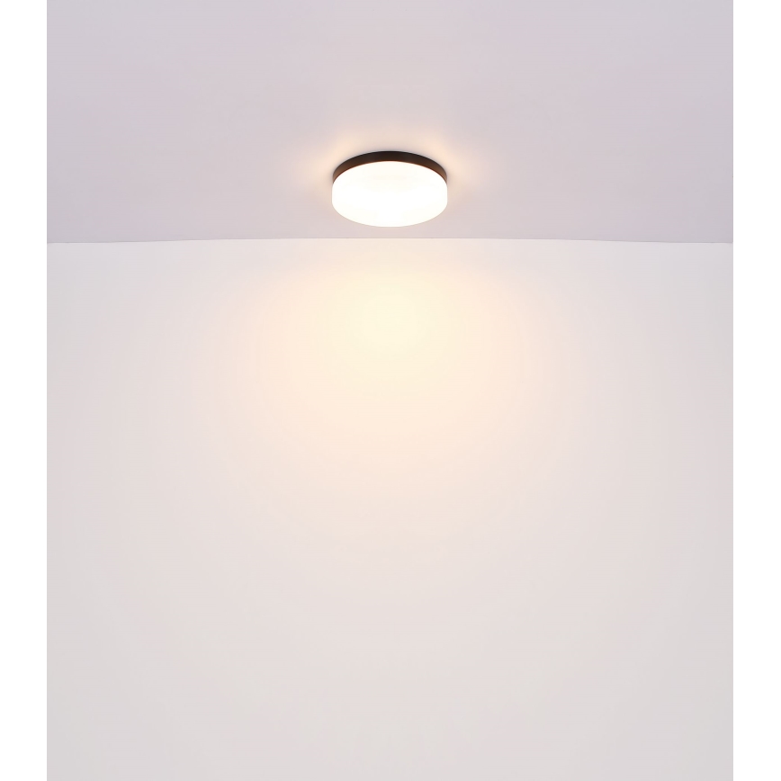 Globo - Luminaire salle de bain 1xE27/60W/230V d. 18,4 cm IP44