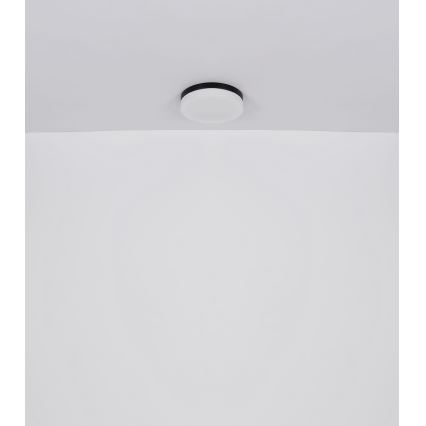 Globo - Luminaire salle de bain 1xE27/60W/230V d. 18,4 cm IP44