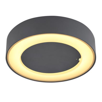 Globo - Plafonnier extérieur LED/12W/230V IP54