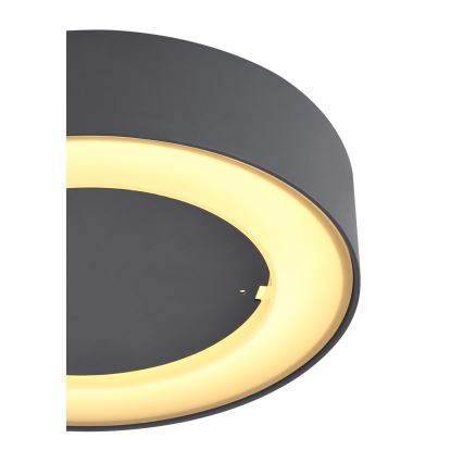 Globo - Plafonnier extérieur LED/12W/230V IP54